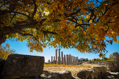 The Temple of Zeus of Diokaesareia ( Uzuncaburc ) Ancient City in Mersin, Turkeyの写真素材