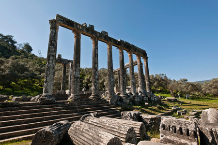 Temple of Zeus Lepsinos, Euromus, Mugla Province, Turkey.の写真素材
