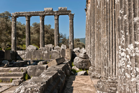 Temple of Zeus Lepsinos, Euromus, Mugla Province, Turkey.の写真素材
