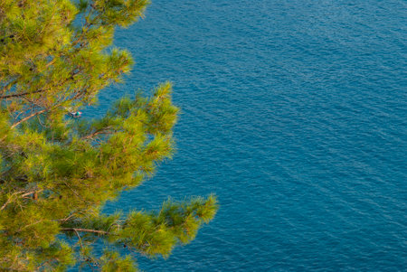 Sea Valley and wild beach at Kabak, Fethiye, Turkeyの写真素材