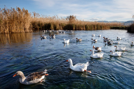(Akyaka District in Ula, Mugla, Turkey. Aerial view of Akyaka. Akyaka is situated at the Gulf of Gokova. Beautiful beach and coast view. very worth it)の写真素材