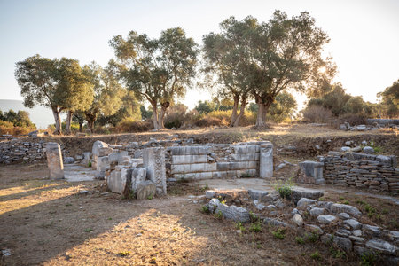 View of the ruins of Iasos Ancient City in the morning sun. KÄ±yÄ±kÄ±ÅlacÄ±k, Milas, MuÄla, Turkey.の写真素材
