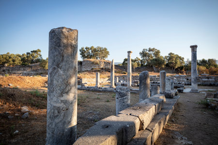 View of the ruins of Iasos Ancient City in the morning sun. KÄ±yÄ±kÄ±ÅlacÄ±k, Milas, MuÄla, Turkey.の写真素材