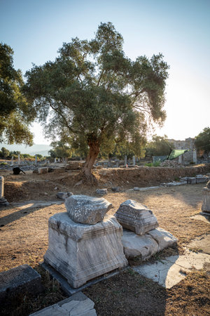 View of the ruins of Iasos Ancient City in the morning sun. K?y?k??lac?k, Milas, Mu?la, Turkey.の写真素材