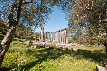 Temple of Zeus Lepsinos, Euromus, Mugla Province, Turkey.の写真素材