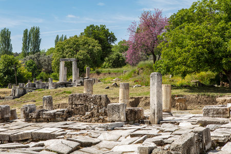 Ruins of the ancient sanctuary Lagina, Turkeyの写真素材
