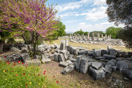Ruins of the ancient sanctuary Lagina, Turkeyの写真素材