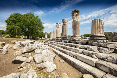 Ruins of the ancient sanctuary Lagina, Turkeyの写真素材