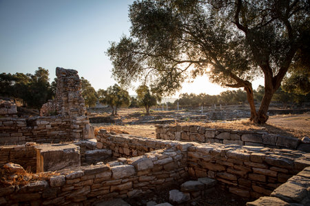 View of the ruins of Iasos Ancient City in the morning sun. KÄ±yÄ±kÄ±ÅlacÄ±k, Milas, MuÄla, Turkey.の写真素材