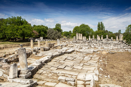Ruins of the ancient sanctuary Lagina, Turkeyの写真素材
