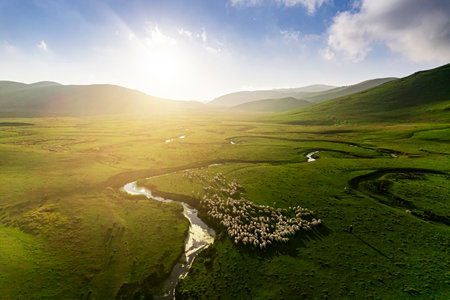 Aerial drone panorama landscape photo of Persembe Plateau (aka PerÅembe Yaylasi), creek meander (aka meander) and sheep on grassland, Aybasti, Ordu, Blacks Sea Region of Turkeyの写真素材