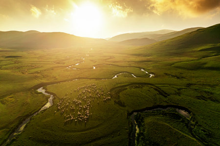Aerial drone panorama landscape photo of Persembe Plateau (aka PerÅembe Yaylasi), creek meander (aka meander) and sheep on grassland, Aybasti, Ordu, Blacks Sea Region of Turkeyの写真素材