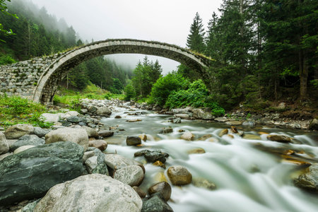 Stone Bridge, Rize, TURKEY