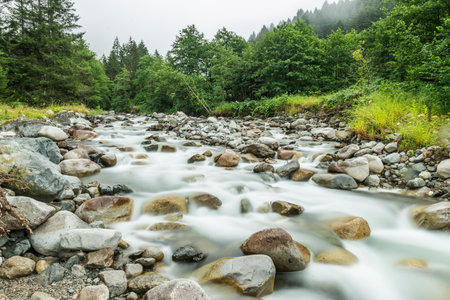 Mountain river in the Carpathian mountains. Ukraine, Europeの写真素材
