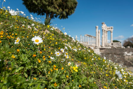 Pergamon Ancient City drone view in Bergama Town of Turkeyの写真素材