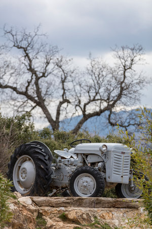 Old tractor in the middle of a field with bare trees in the backgroundの写真素材
