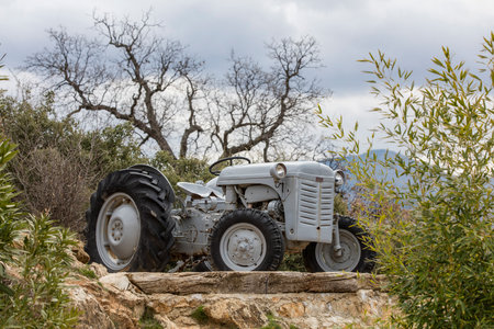 Old tractor on a hillside with olive trees in the background.の写真素材