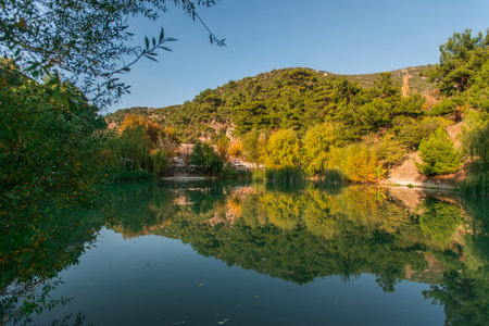 Reflection of trees in the water of a mountain lake in Spainの写真素材
