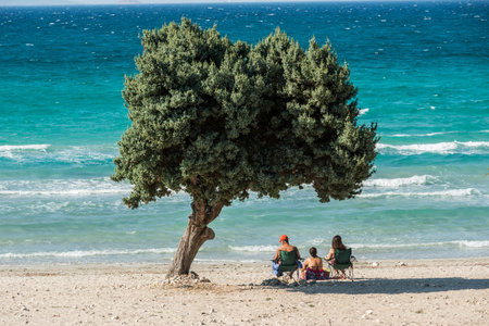 Couple sitting under a tree on the beach of the Mediterranean Seaの写真素材