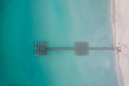 Aerial view of a pier on a tropical beachの写真素材