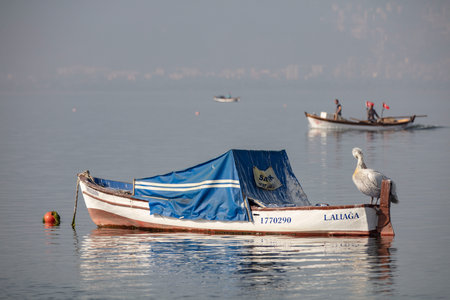 Fishing boats in Mavisehir Harbor of Izmir Cityの写真素材
