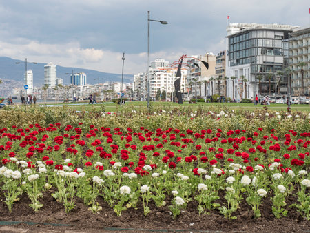 Cityscape of Izmir Alsancak District in Turkeyの写真素材