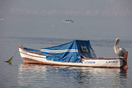 Fishing boats in Mavisehir Harbor of Izmir Cityの写真素材