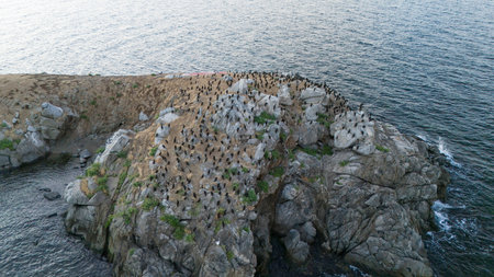 Aerial view of Avsa island, Turkey. Avsa Island view from sea in Turkey.