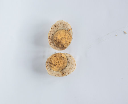 Hard boiled egg halves isolated on white backgroundの写真素材