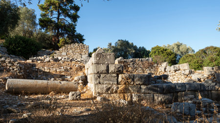 Ancient Ruins of Pedasa in Bodrum Surrounded by Forest from Aerial Viewの写真素材