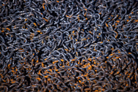 Rusty Heavy Chain Close-Up Texture Background