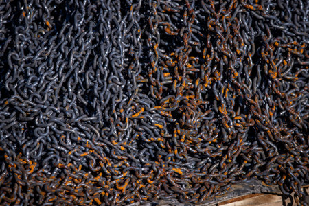 Rusty Heavy Chain Close-Up Texture Background