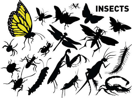 insectsのイラスト素材