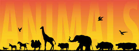 animalsのイラスト素材