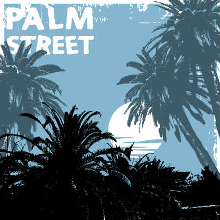 palm streetのイラスト素材