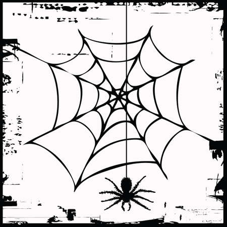 spiderのイラスト素材