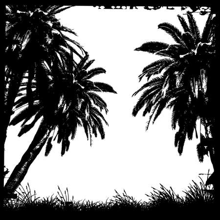 palmsのイラスト素材