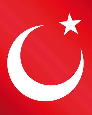vector flag of turkeyのイラスト素材