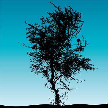 vector treeのイラスト素材