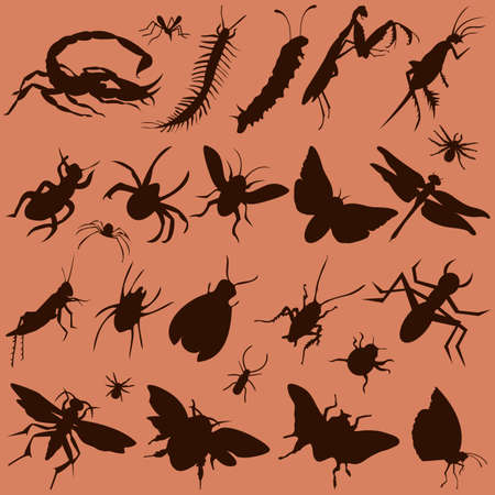 set of bugsのイラスト素材