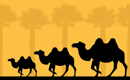 camelsのイラスト素材