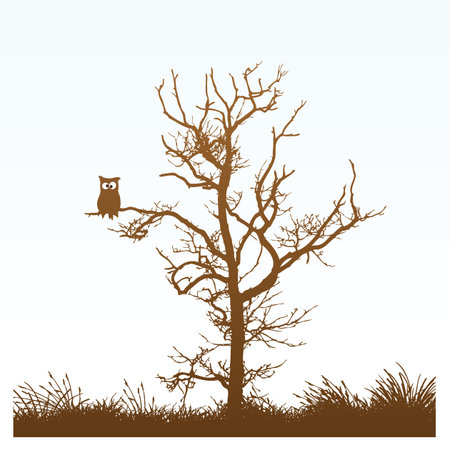 owl in a treeのイラスト素材
