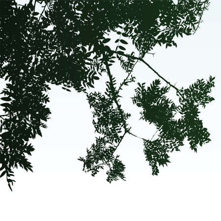 branchesのイラスト素材