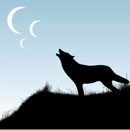 wolfのイラスト素材