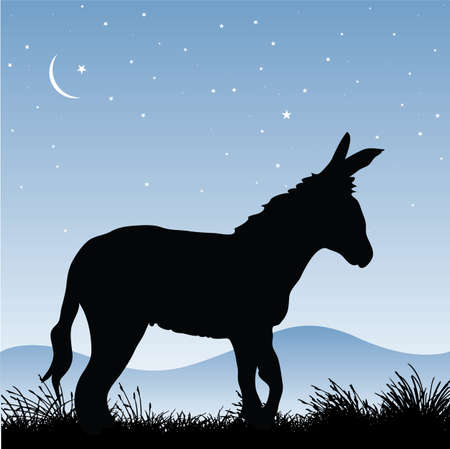 donkeyのイラスト素材