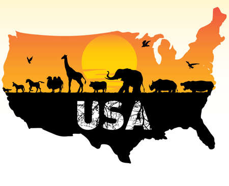 animals of the united statesのイラスト素材