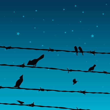 birds on wiresのイラスト素材