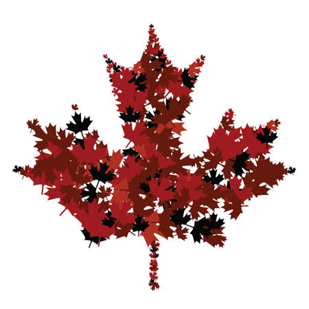 maple leafのイラスト素材