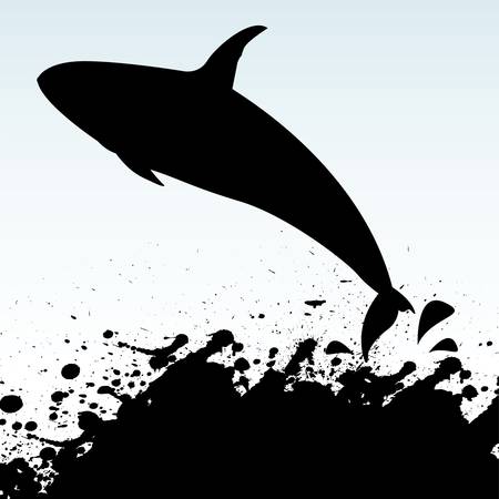 killer whaleのイラスト素材