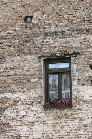 Windowの写真素材